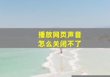 播放网页声音怎么关闭不了