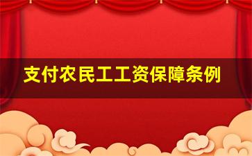 支付农民工工资保障条例