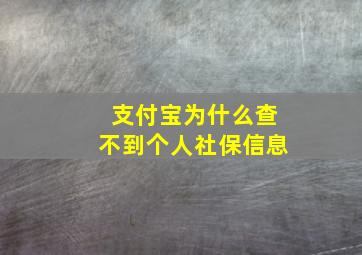 支付宝为什么查不到个人社保信息