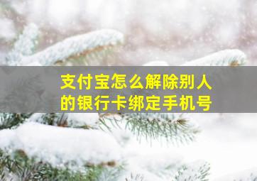 支付宝怎么解除别人的银行卡绑定手机号