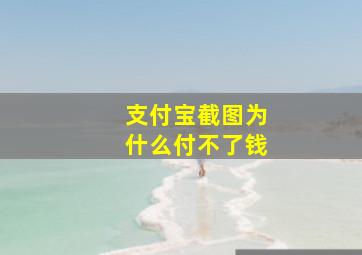 支付宝截图为什么付不了钱