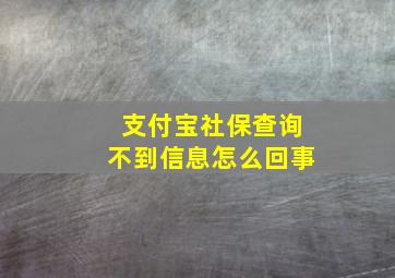 支付宝社保查询不到信息怎么回事