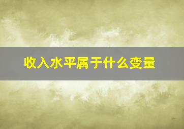 收入水平属于什么变量