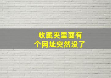 收藏夹里面有个网址突然没了