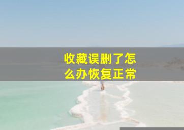 收藏误删了怎么办恢复正常