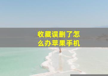 收藏误删了怎么办苹果手机