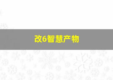 改6智慧产物