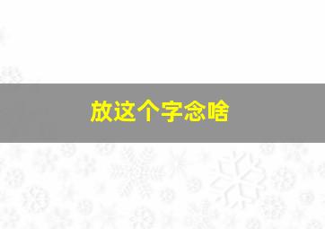 放这个字念啥