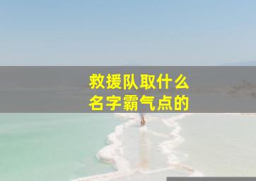 救援队取什么名字霸气点的