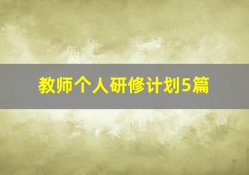 教师个人研修计划5篇