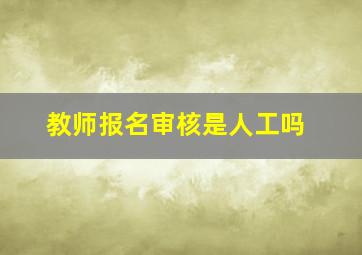 教师报名审核是人工吗