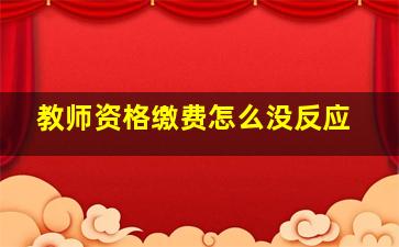 教师资格缴费怎么没反应