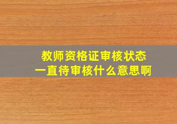 教师资格证审核状态一直待审核什么意思啊