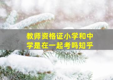 教师资格证小学和中学是在一起考吗知乎