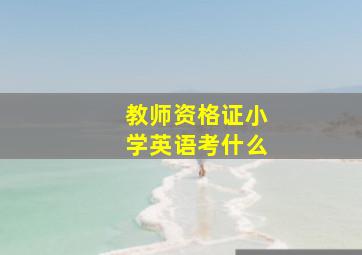 教师资格证小学英语考什么