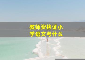 教师资格证小学语文考什么