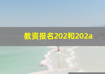 教资报名202和202a