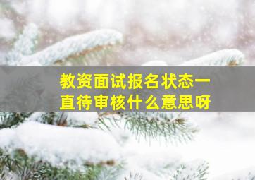 教资面试报名状态一直待审核什么意思呀