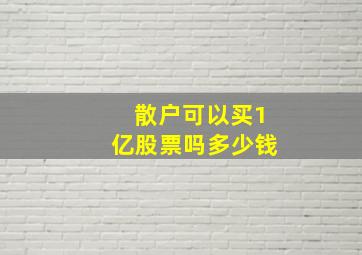 散户可以买1亿股票吗多少钱