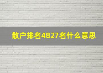 散户排名4827名什么意思