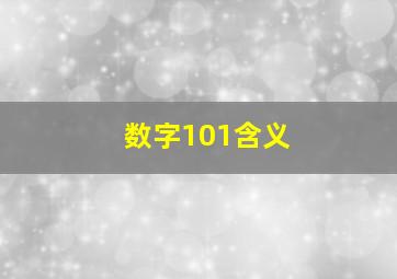 数字101含义