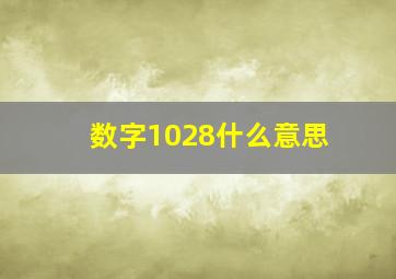 数字1028什么意思