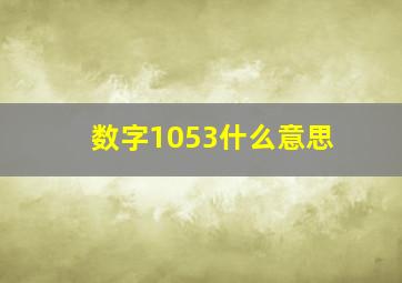 数字1053什么意思