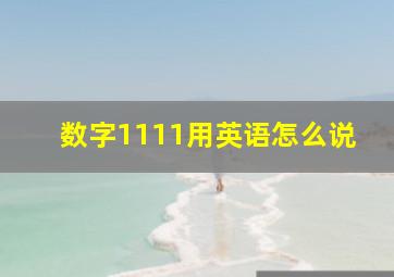 数字1111用英语怎么说