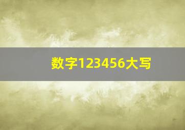 数字123456大写