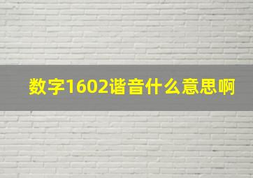 数字1602谐音什么意思啊