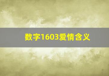 数字1603爱情含义