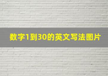 数字1到30的英文写法图片