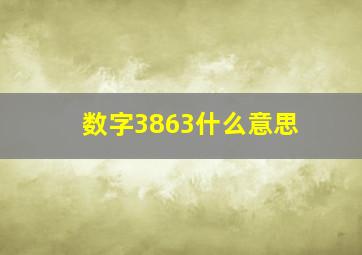 数字3863什么意思