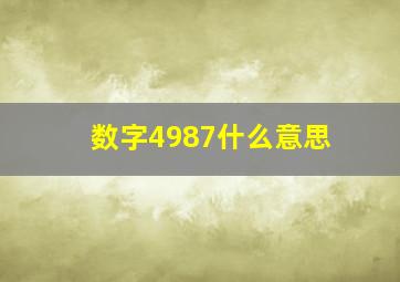 数字4987什么意思