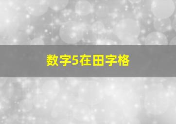 数字5在田字格