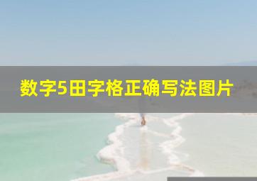 数字5田字格正确写法图片