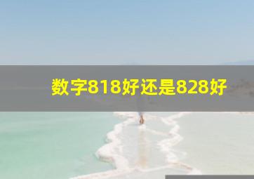 数字818好还是828好