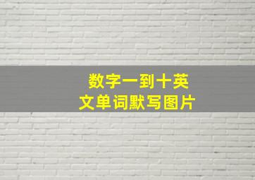 数字一到十英文单词默写图片