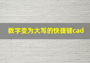 数字变为大写的快捷键cad