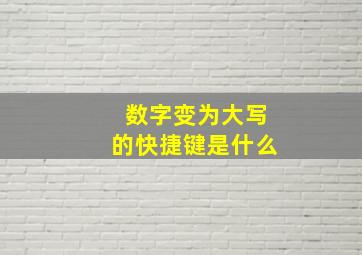 数字变为大写的快捷键是什么