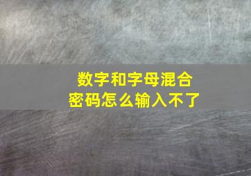 数字和字母混合密码怎么输入不了