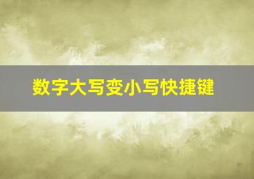 数字大写变小写快捷键