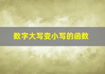 数字大写变小写的函数