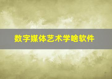 数字媒体艺术学啥软件