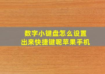 数字小键盘怎么设置出来快捷键呢苹果手机