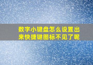 数字小键盘怎么设置出来快捷键图标不见了呢