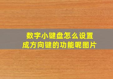 数字小键盘怎么设置成方向键的功能呢图片