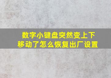 数字小键盘突然变上下移动了怎么恢复出厂设置