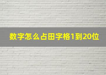 数字怎么占田字格1到20位