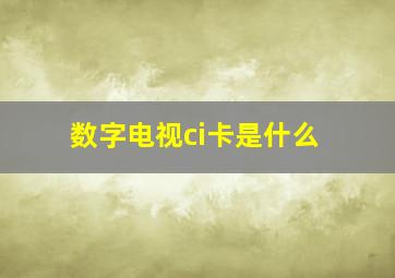 数字电视ci卡是什么